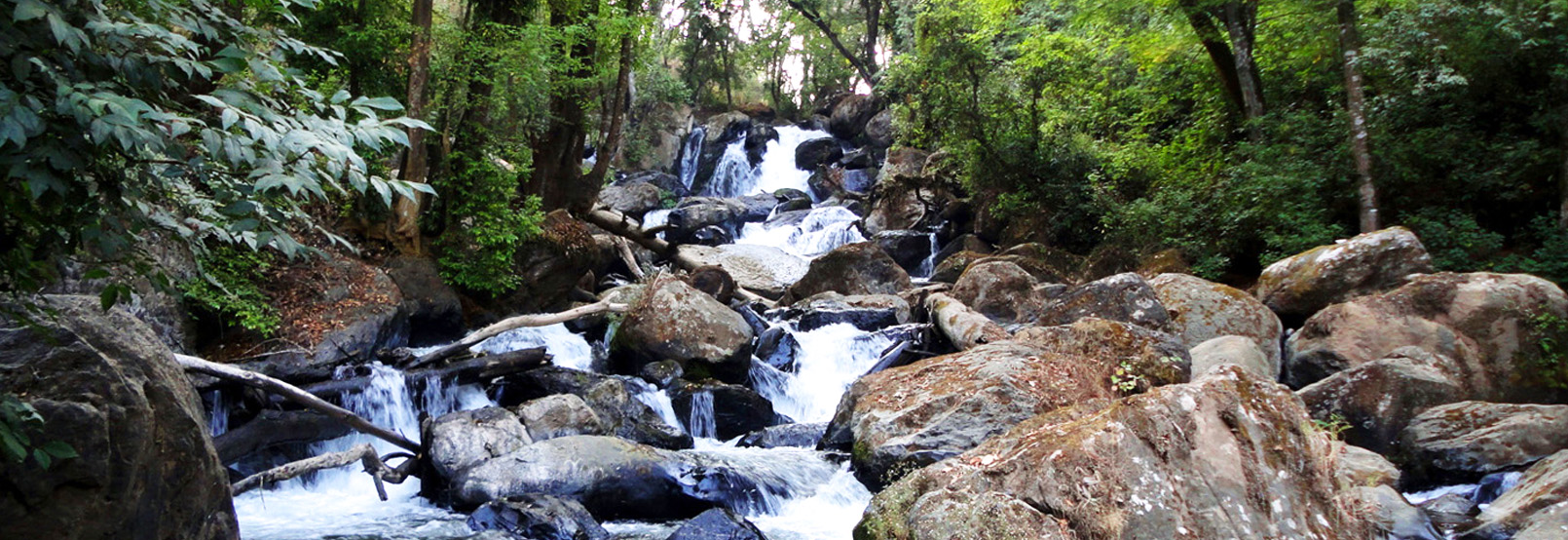artesanías de sinaloa
